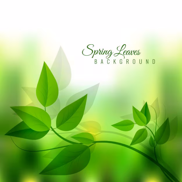 ayurvedic_clinic_near_me