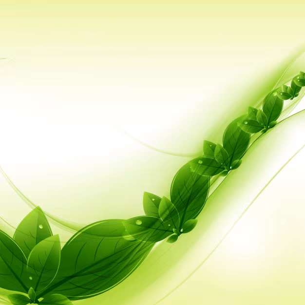 best_ayurvedic_clinic