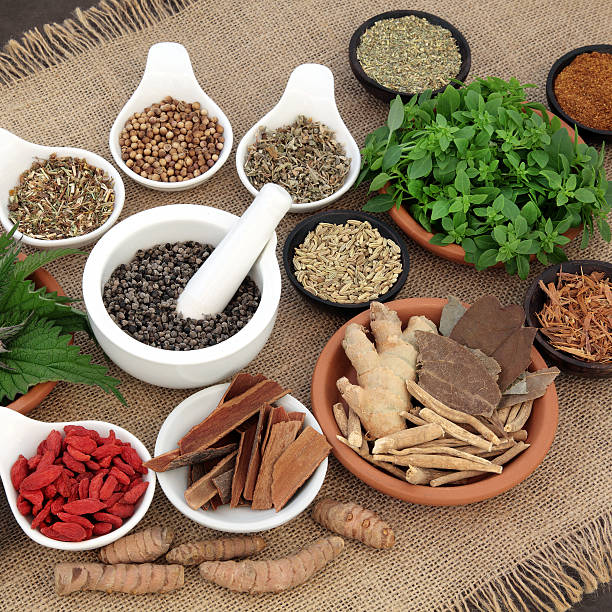 best_ayurvedic_doctor_in_ludhiana