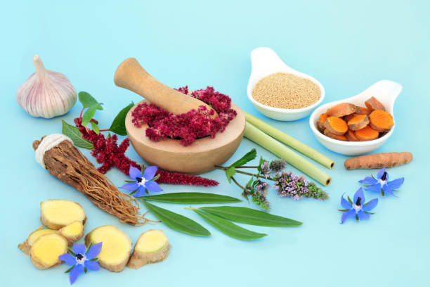best_ayurvedic_doctor_in_ludhiana