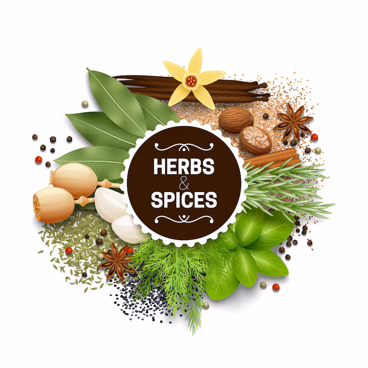 best_ayurvedic_dr