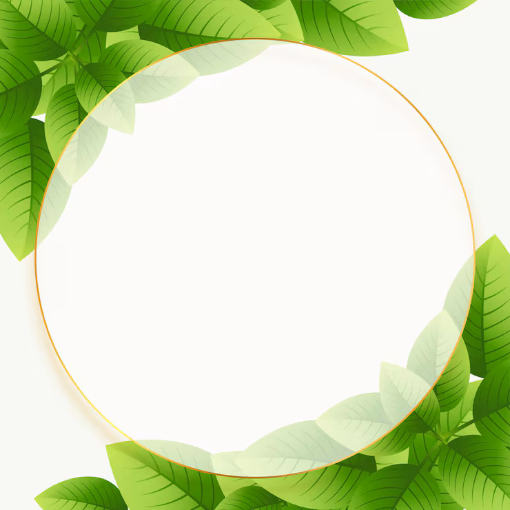best_ayurvedic_dr