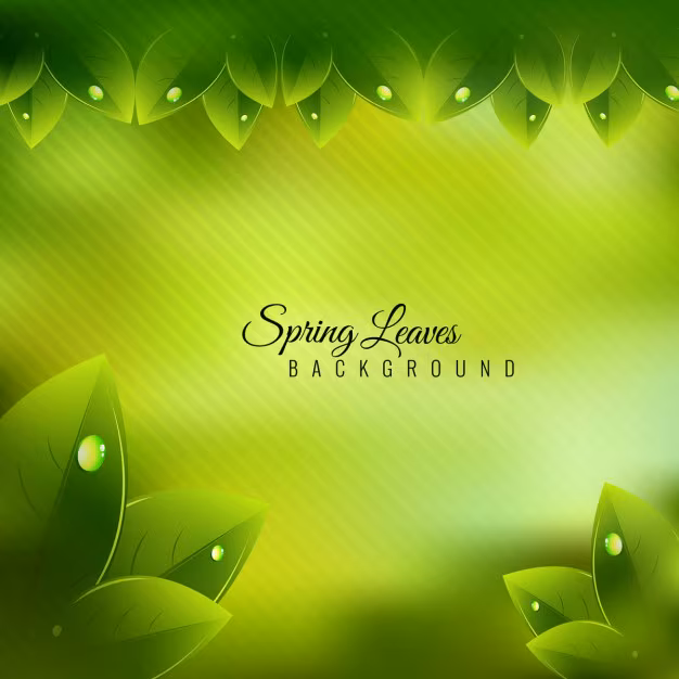 best_ayurvedic_dr