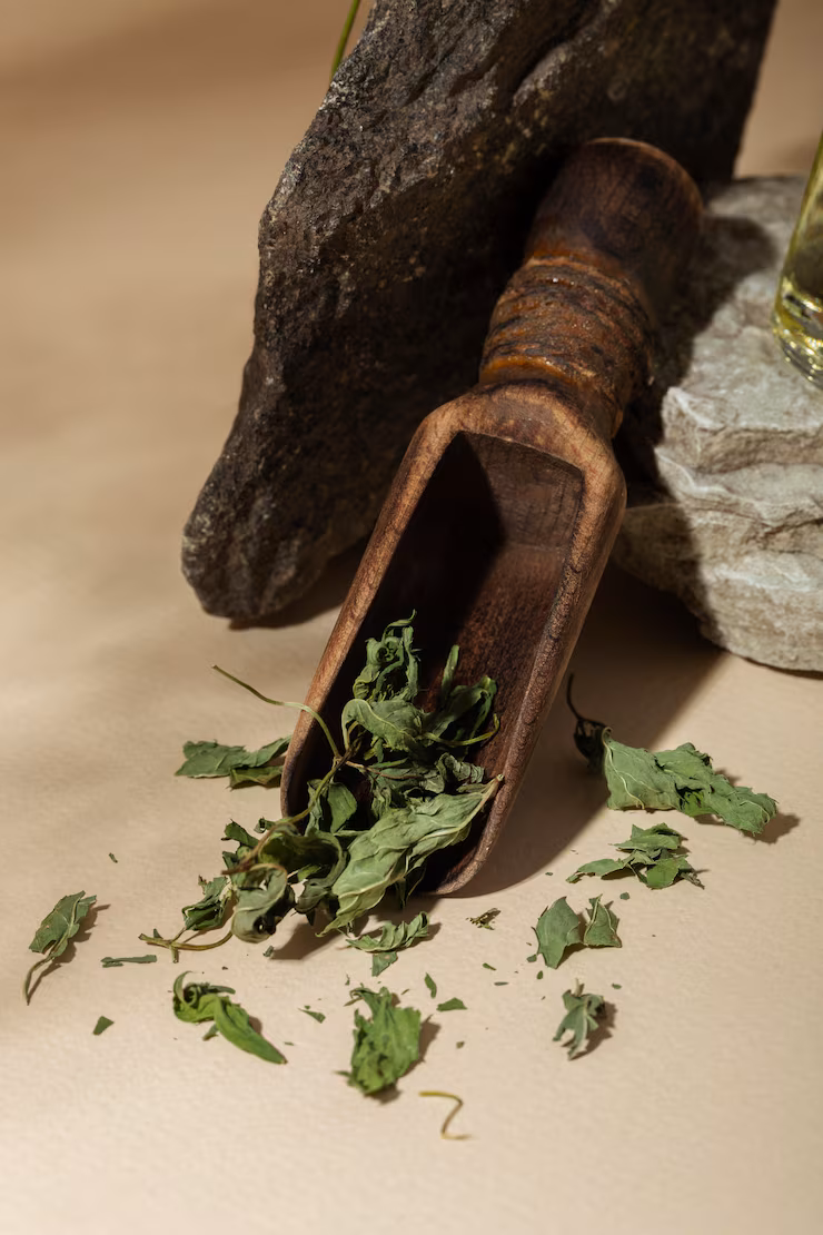 best_ayurvedic_dr
