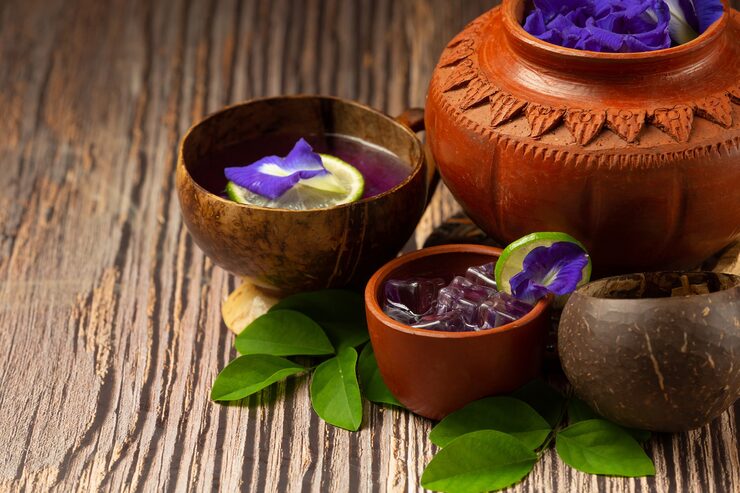 best_infertility_treatment_centre
